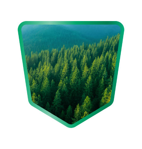 CEPTETEB HATIRA ORMANI