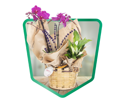 OSEVİO.COM'DA ANINDA %15 İNDİRİM